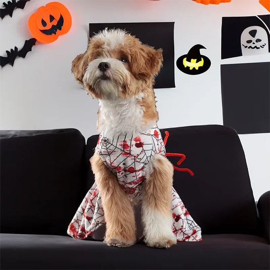 🕸️ Spooky Spider Web Halloween Dog Costume 🐶👻