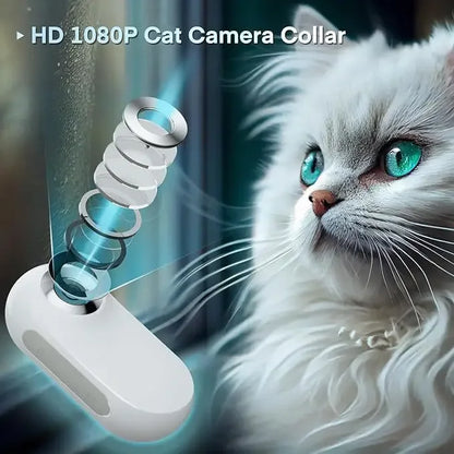 📸 Pet Collar Camera 🎽 Mini Action Cam for Dogs & Cats on the Go