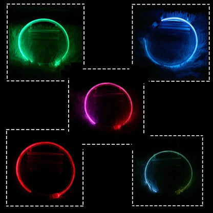 💡 LED Light-Up Dog Collar 🐕 USB Rechargeable & Cut-to-Fit | Night Safety