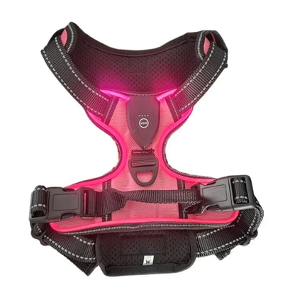 💡 LED Light Up Dog Harness – Adjustable No Pull Vest for Night Walks 🐾