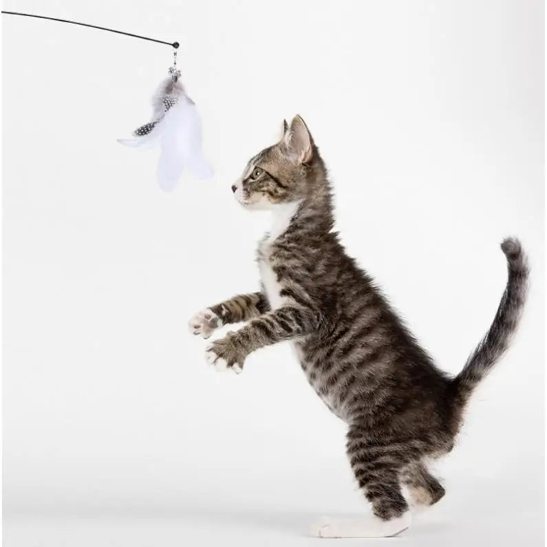 🐾 Feather Cat Toy 🎣 Interactive Wand with Suction Base