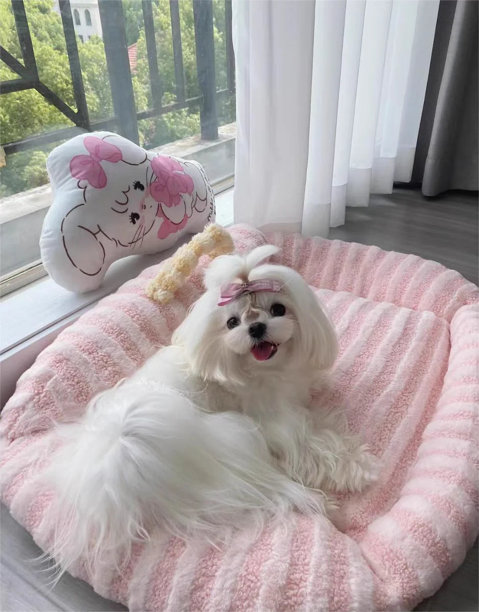🛋️ Soft Sofa-Style Pet Bed 🐶 Warm & Stylish Winter Nest for Small Dogs & Cats