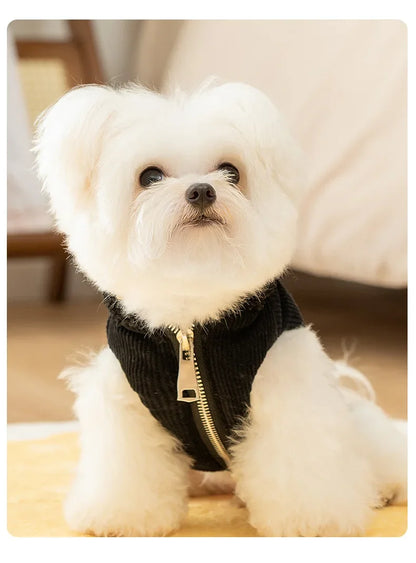 🧥 Quilted Dog Hoodie 🐾 | Warm Vest for Small Pets ❄️