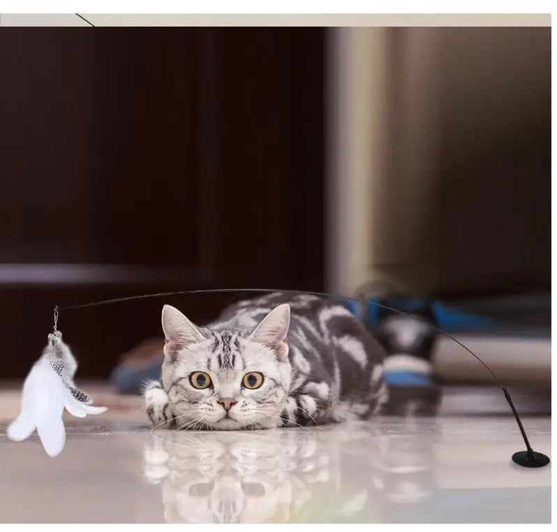 🐾 Feather Cat Toy 🎣 Interactive Wand with Suction Base
