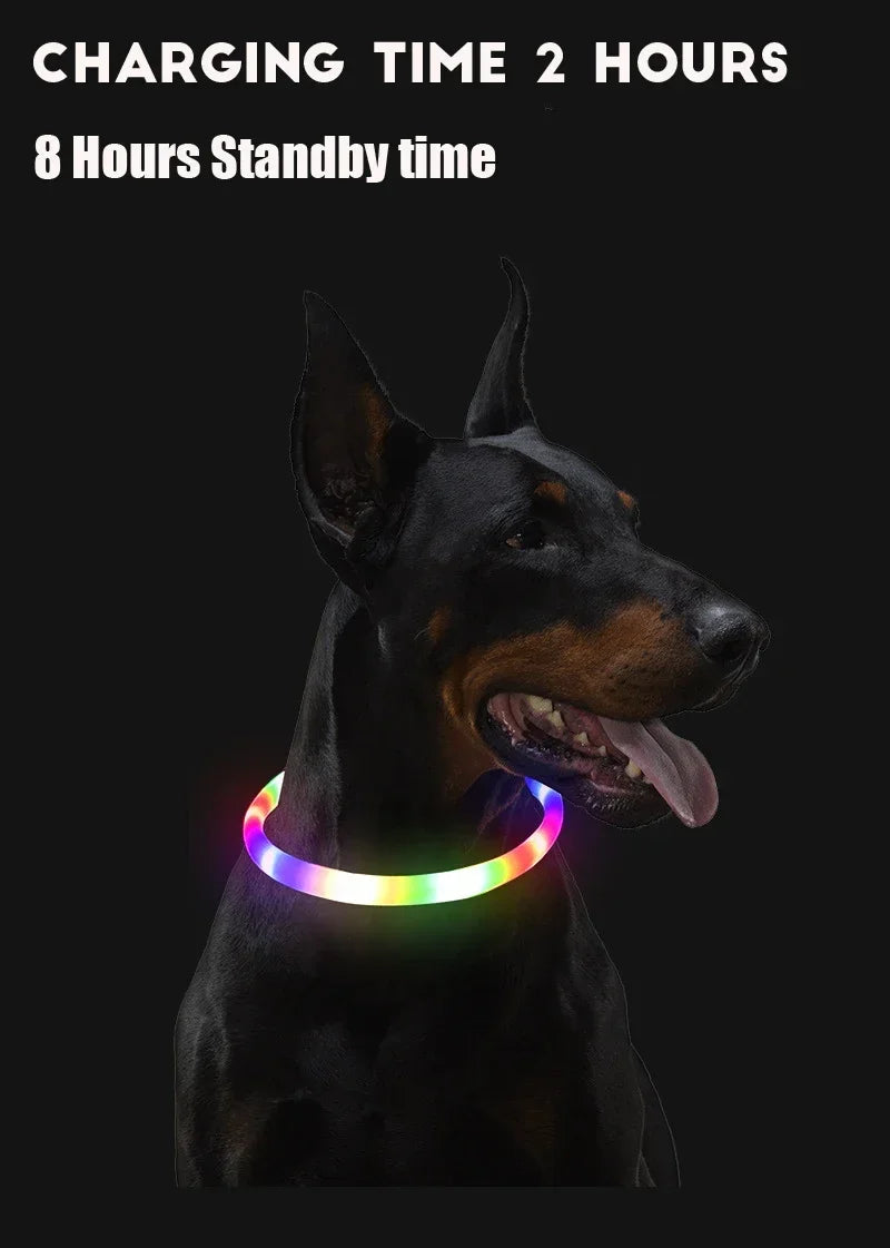 💡 LED Light-Up Dog Collar 🐕 USB Rechargeable & Cut-to-Fit | Night Safety
