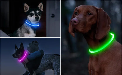 💡 LED Light-Up Dog Collar 🐕 USB Rechargeable & Cut-to-Fit | Night Safety