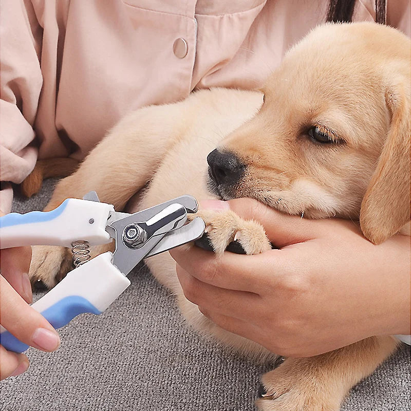 🐾 Pet Nail Clippers – Stainless Steel Dog & Cat Nail Trimmer Scissors ✂️