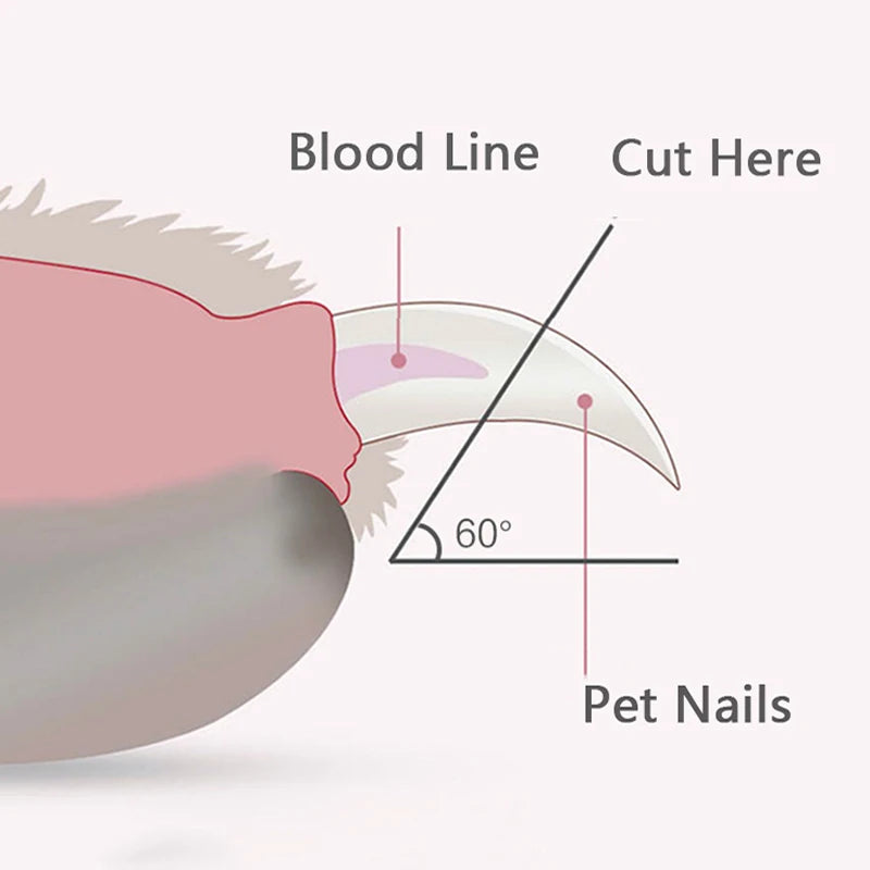 ✂️ LED Pet Nail Clippers – Professional Grooming Scissors for Dogs & Cats 🐾