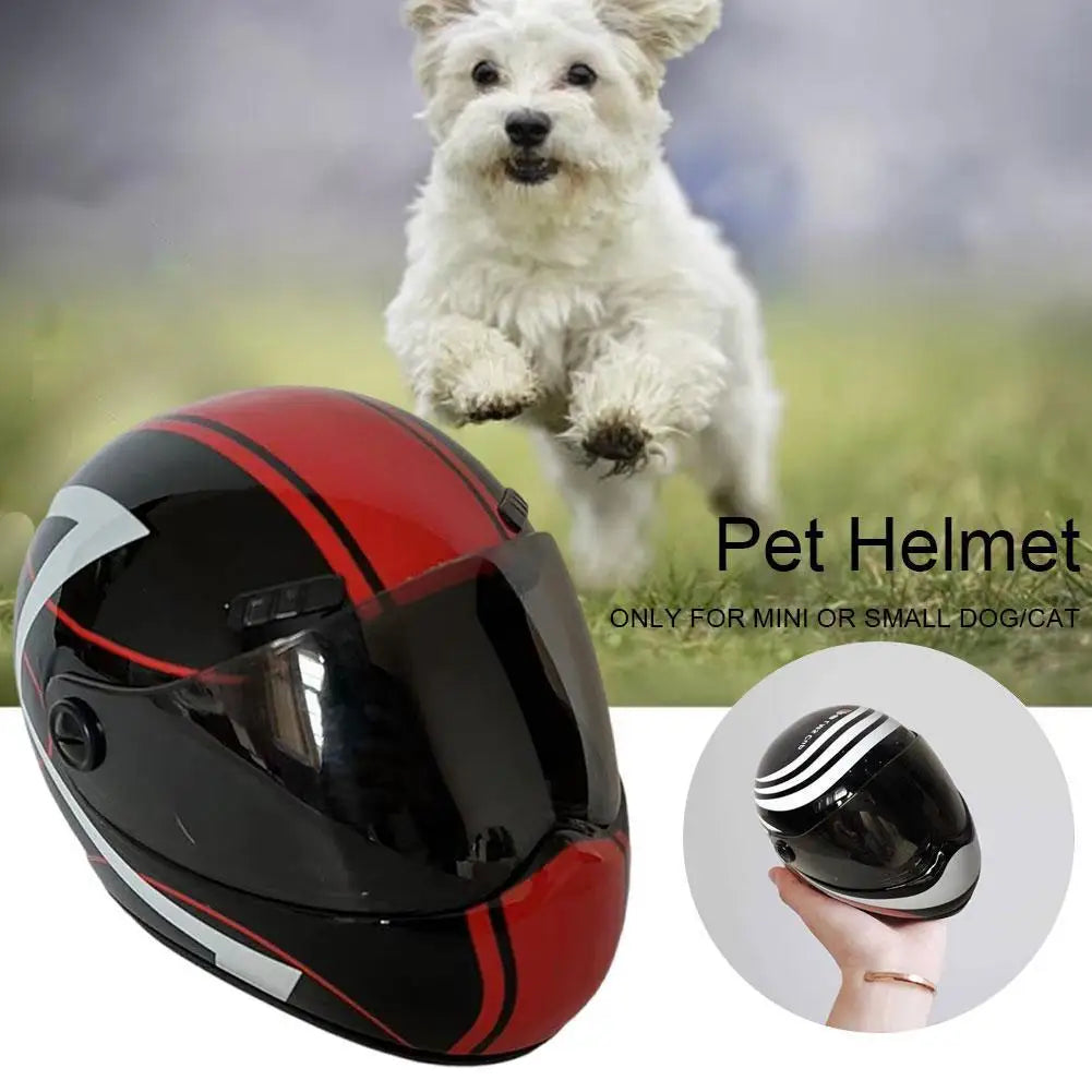 🛡️ DIY Pet Helmet – Mini Motorcycle Hat for Cats & Small Dogs 🐾