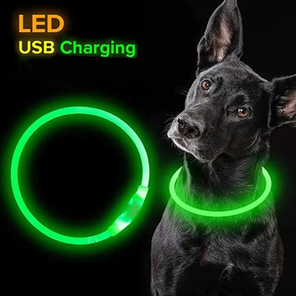 💡 LED Light-Up Dog Collar 🐕 USB Rechargeable & Cut-to-Fit | Night Safety