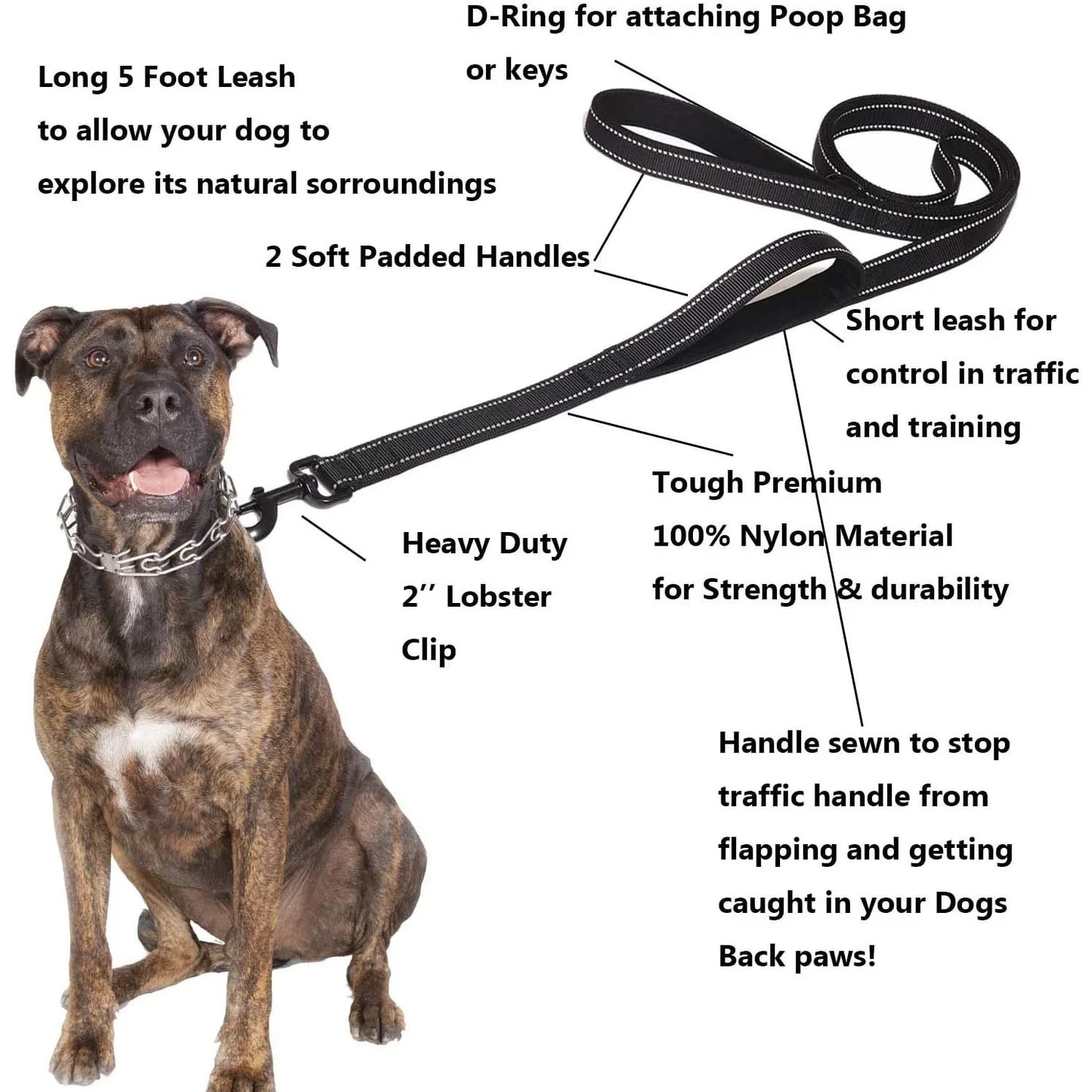 🐶 Strong & Tangle-Free Dog Leash | Soft Grip & Durable for Daily Walks 🐶