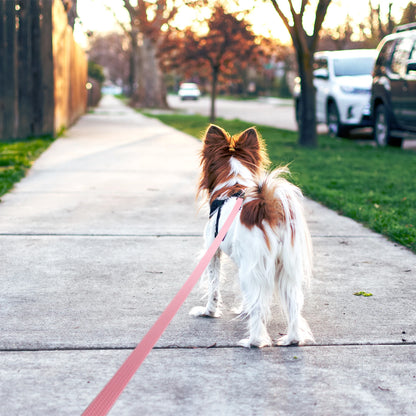 Waterproof PVC Dog Leash – Strong, Non-Slip & Easy Clean