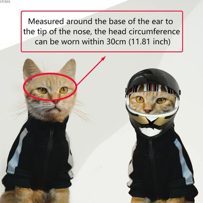 🛡️ DIY Pet Helmet – Mini Motorcycle Hat for Cats & Small Dogs 🐾