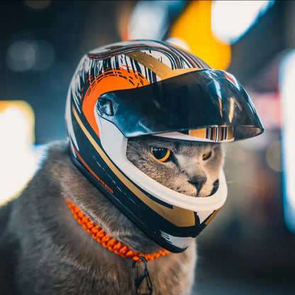 🛡️ DIY Pet Helmet – Mini Motorcycle Hat for Cats & Small Dogs 🐾
