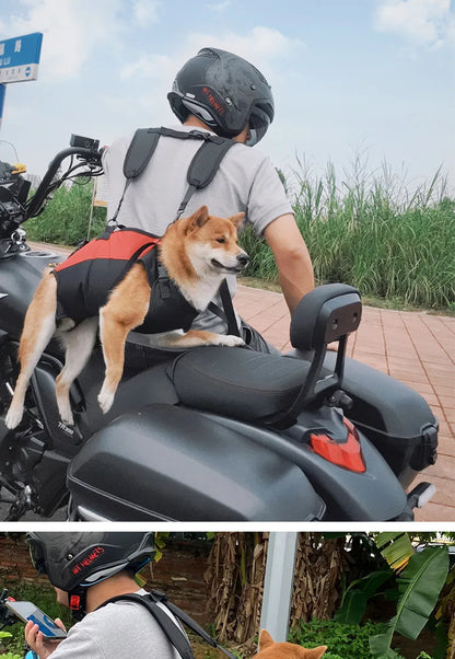 🎒 Pet Travel Backpack 🎈 Outdoor Dog & Cat Carrier 🐾