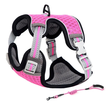 🐱 Cat Harness & Leash Set 🐾 Adjustable & Escape-Proof Design