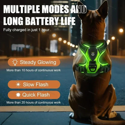 💡 LED Light Up Dog Harness – Adjustable No Pull Vest for Night Walks 🐾