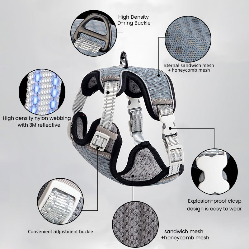 🐱 Cat Harness & Leash Set 🐾 Adjustable & Escape-Proof Design