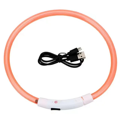 💡 LED Light-Up Dog Collar 🐕 USB Rechargeable & Cut-to-Fit | Night Safety