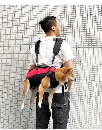 🎒 Pet Travel Backpack 🎈 Outdoor Dog & Cat Carrier 🐾