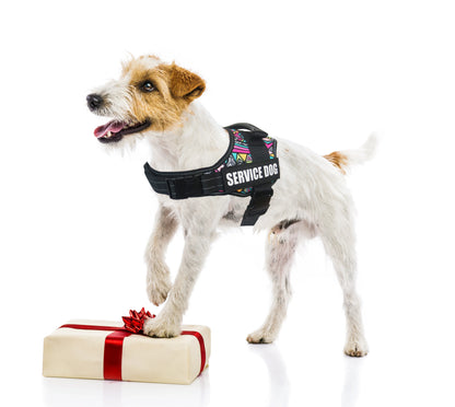 Service Dog Harness Vest – Reflective & No-Pull Design