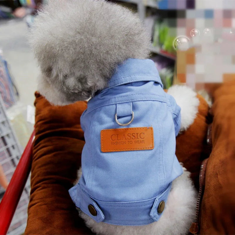 🧥 Dog Denim Jacket 🌼 Spring Vest with Leash Ring for Small Pets