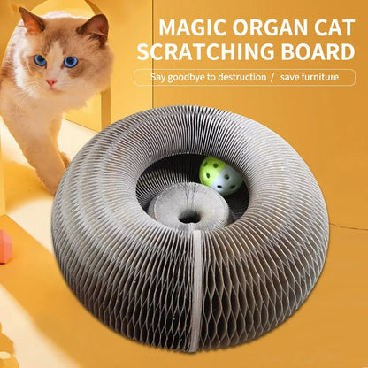 Foldable Cat Tunnel Toy 🐱✨ with Bell & Scratch Pad 🎯