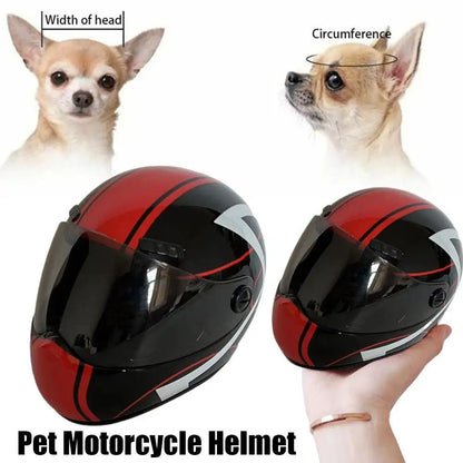 🛡️ DIY Pet Helmet – Mini Motorcycle Hat for Cats & Small Dogs 🐾