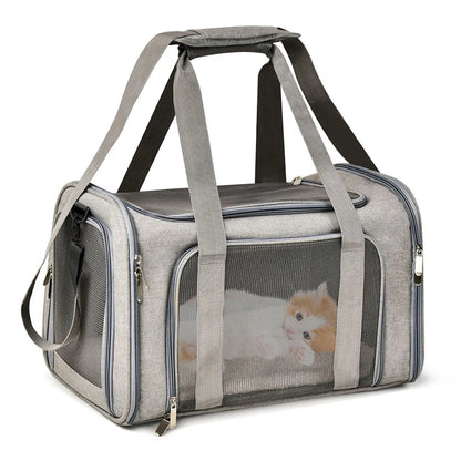 ✈️ Soft-Sided Dog Carrier Bag | Airline-Approved Travel for Small Pets 🐾
