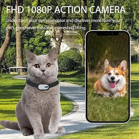 📸 Pet Collar Camera 🎽 Mini Action Cam for Dogs & Cats on the Go