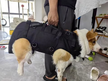 🎒 Pet Travel Backpack 🎈 Outdoor Dog & Cat Carrier 🐾