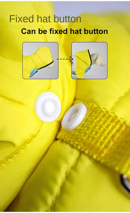 🧥 Dog Winter Jacket 🐶 Warm Padded Coat for Small & Medium Pets