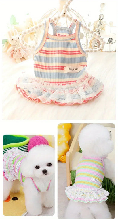 👗 Small Dog Princess Dress ✨ Lace Summer Outfit for Puppies & Cats