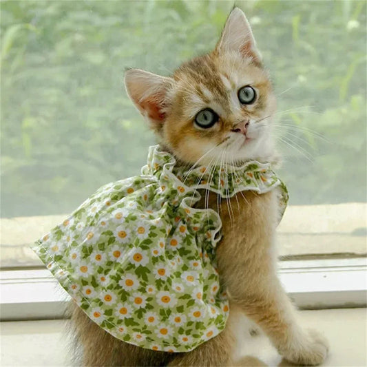 🌸 Cat Summer Dress 🐾 👗 Cotton Floral Suspender Outfit for Sphynx & Small Pets