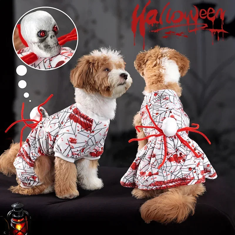 🕸️ Spooky Spider Web Halloween Dog Costume 🐶👻
