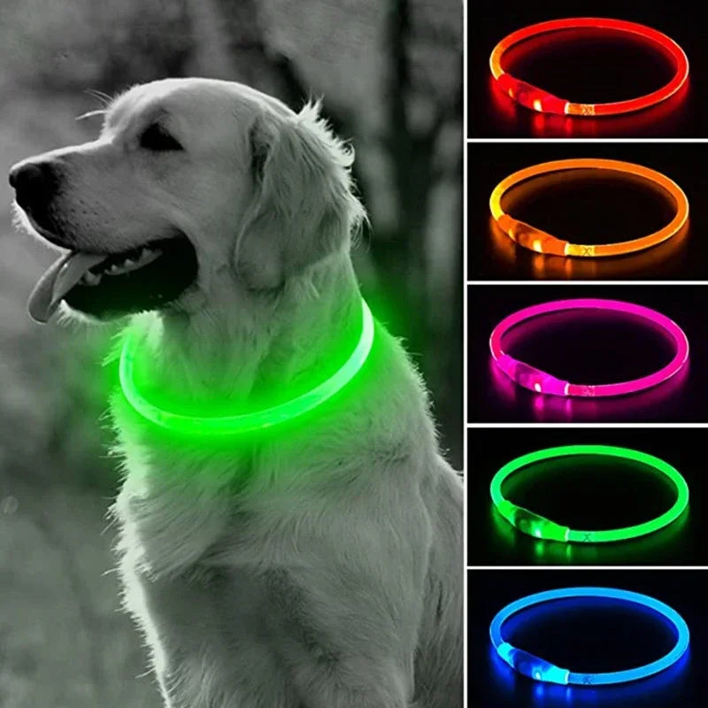 💡 LED Light-Up Dog Collar 🐕 USB Rechargeable & Cut-to-Fit | Night Safety