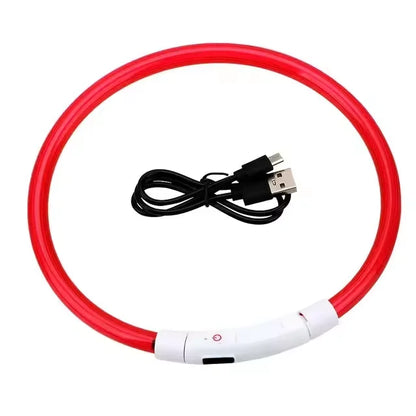 💡 LED Light-Up Dog Collar 🐕 USB Rechargeable & Cut-to-Fit | Night Safety