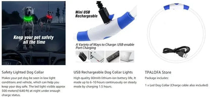 💡 LED Light-Up Dog Collar 🐕 USB Rechargeable & Cut-to-Fit | Night Safety