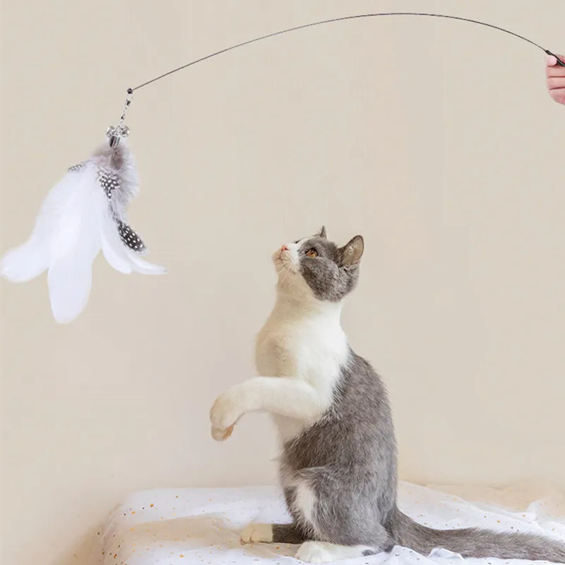 🐾 Feather Cat Toy 🎣 Interactive Wand with Suction Base