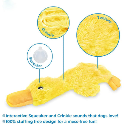Plush Duck Dog Toy  🧸 Squeaky No-Stuffing Chew Toy for Puppies and Small Dogs
