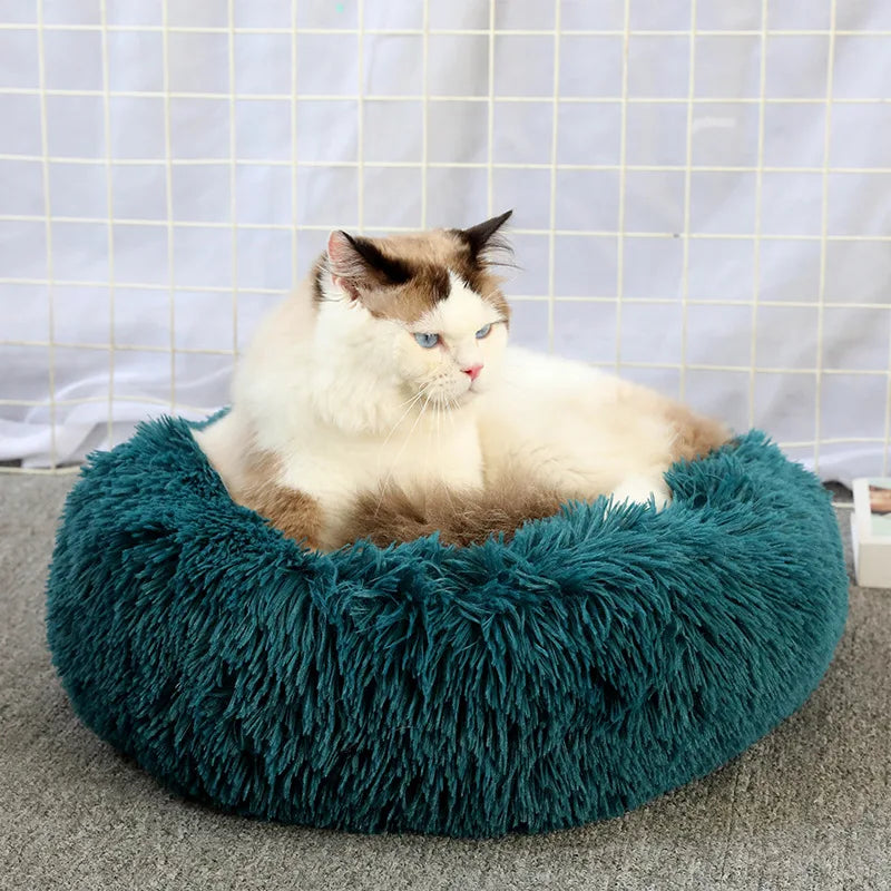 🛏️ Plush Donut Pet Bed 🐶🐱 Ultra-Soft & Washable Calming Bed for Cats and Dogs