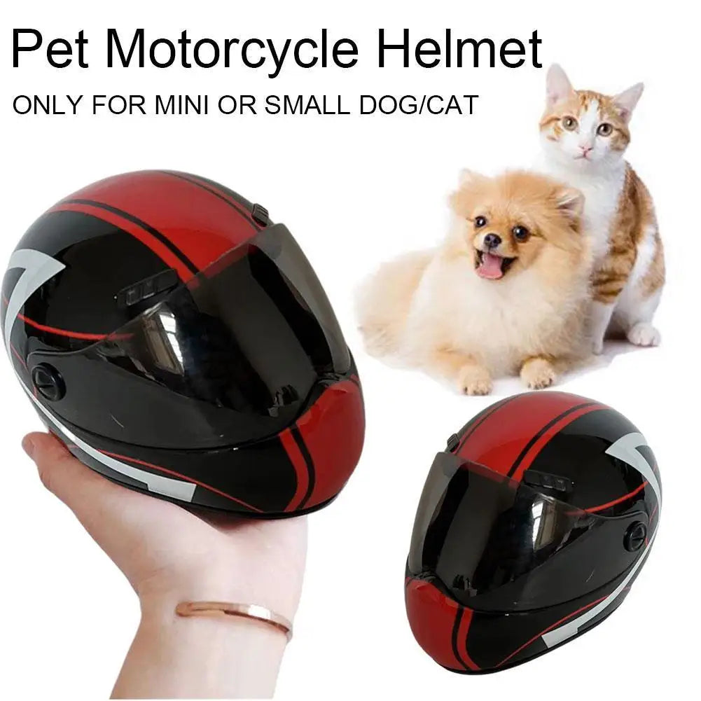 🛡️ DIY Pet Helmet – Mini Motorcycle Hat for Cats & Small Dogs 🐾