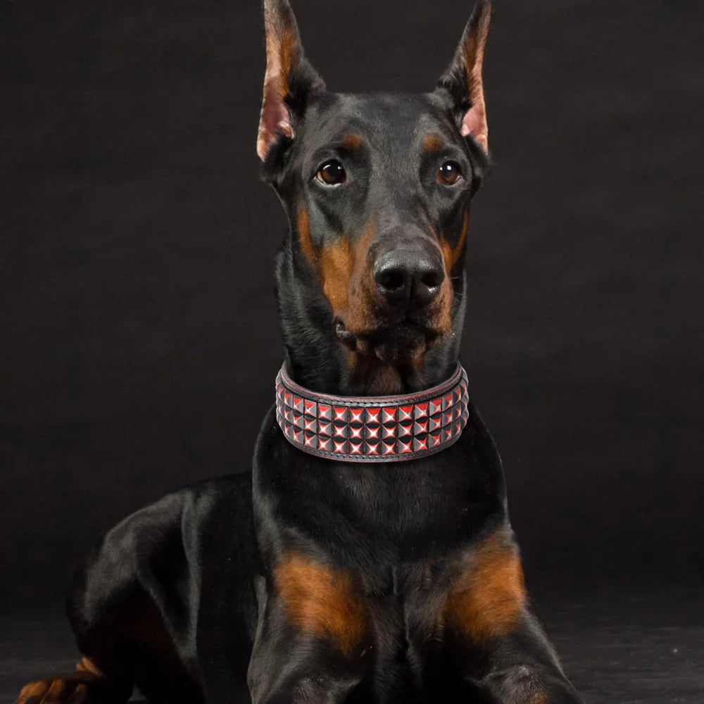 💎 Leather Dog Collar 🐶 Wide Rivet Design for Medium & Large Dogs