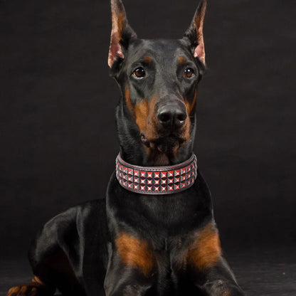 💎 Leather Dog Collar 🐶 Wide Rivet Design for Medium & Large Dogs