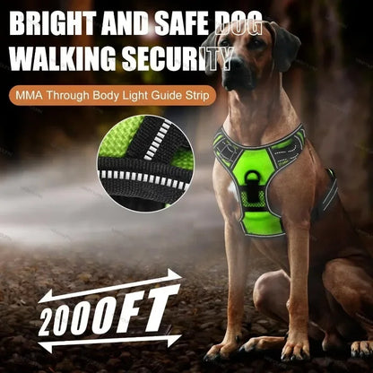 💡 LED Light Up Dog Harness – Adjustable No Pull Vest for Night Walks 🐾