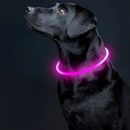 💡 LED Light-Up Dog Collar 🐕 USB Rechargeable & Cut-to-Fit | Night Safety