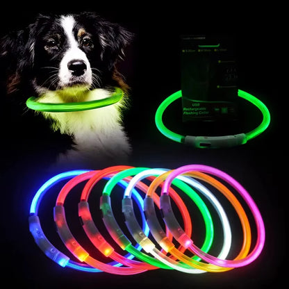 💡 LED Light-Up Dog Collar 🐕 USB Rechargeable & Cut-to-Fit | Night Safety