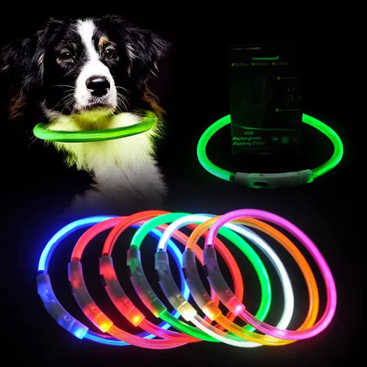 💡 LED Light-Up Dog Collar 🐕 USB Rechargeable & Cut-to-Fit | Night Safety
