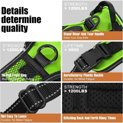 💡 LED Light Up Dog Harness – Adjustable No Pull Vest for Night Walks 🐾