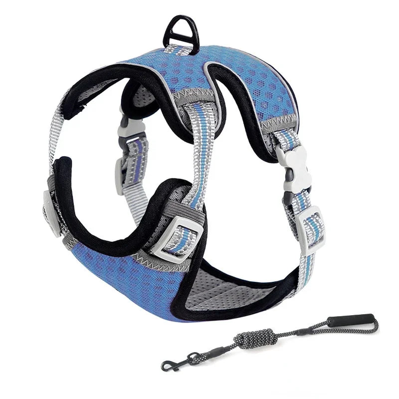 🐱 Cat Harness & Leash Set 🐾 Adjustable & Escape-Proof Design